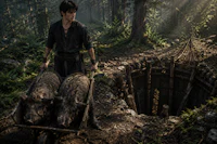 a man is pushing a wheelbarrow full of pigs through a forest