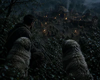 a man and two dogs looking at a village at night