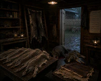 a room with two wolves laying on the floor
