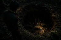a man standing in a hole in the woods