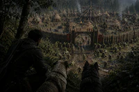 a man and two dogs are looking at a castle in the woods